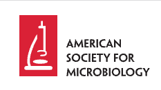 Attending ASM 2025