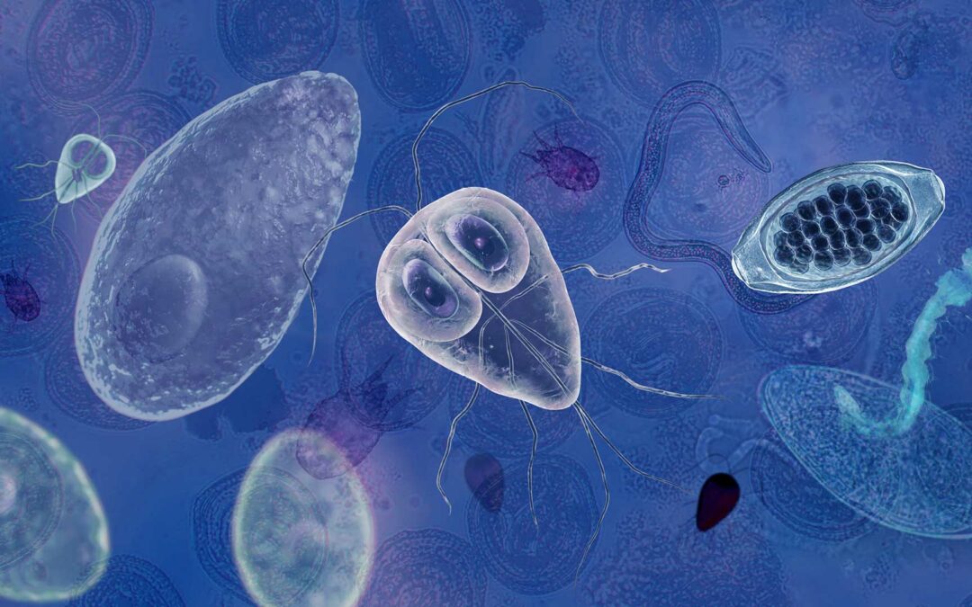 Paradevices and Parasitology