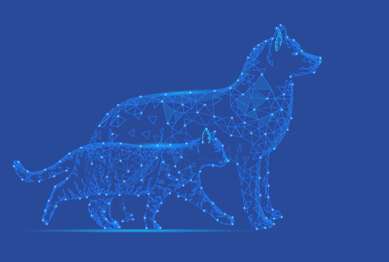 21095 Reingenuity Website Homepage Images - Veterinary Left Veterinary